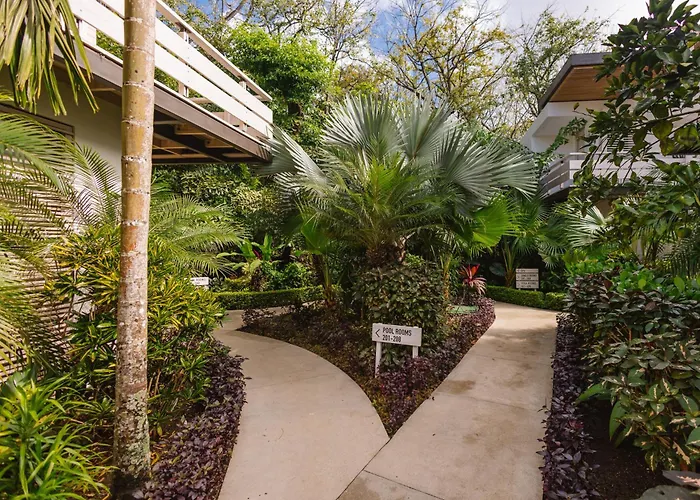 Hotel The Gilded Iguana 4*