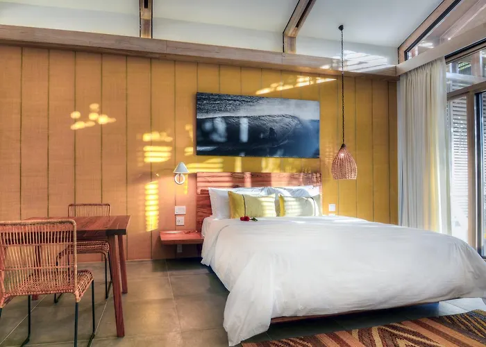 The Gilded Iguana Hotel